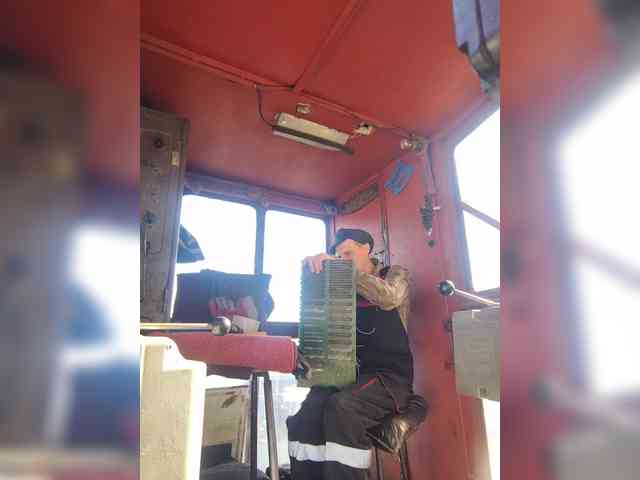 Maybus