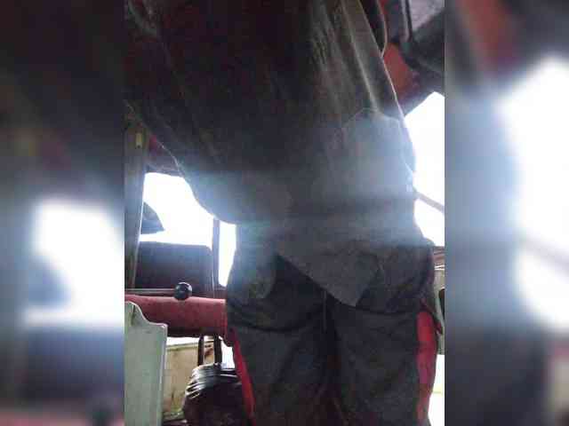 Maybus