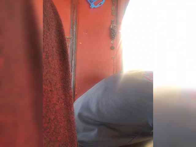 Maybus
