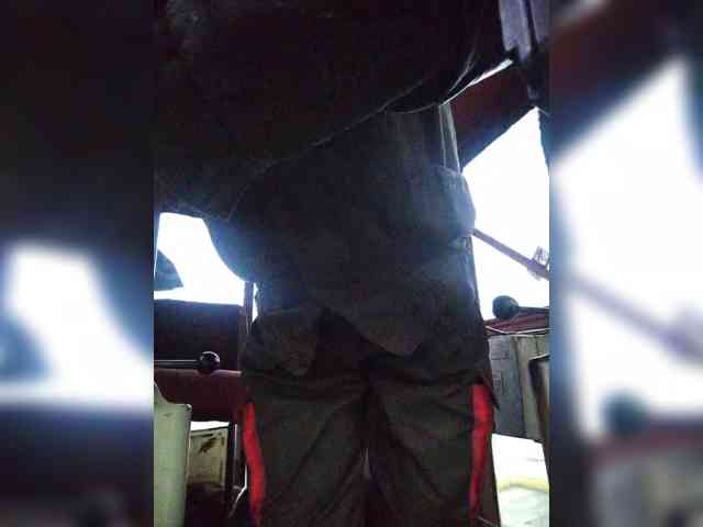 Maybus
