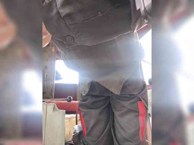 Maybus