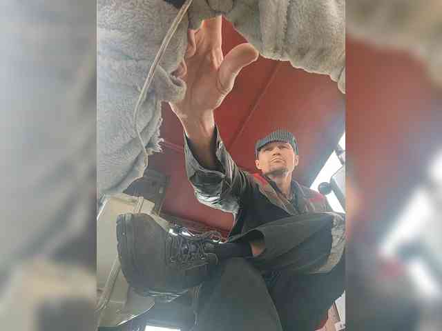 Maybus