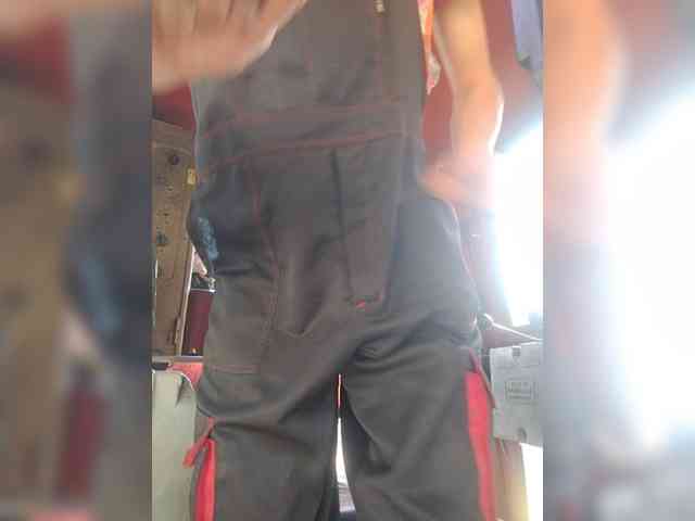 Maybus