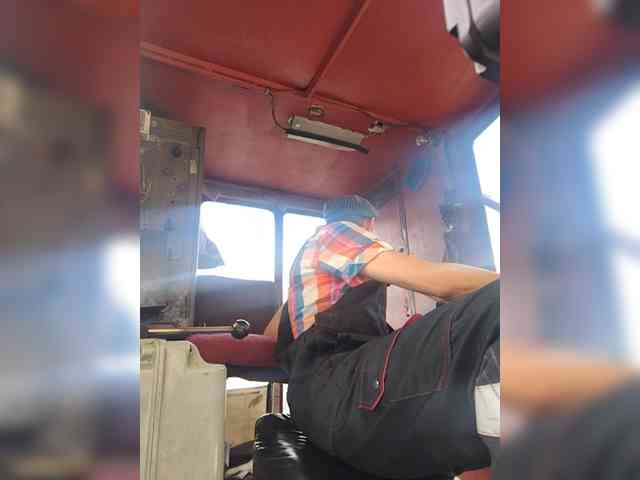 Maybus Sex Cam Show