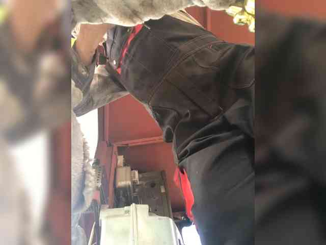 Maybus