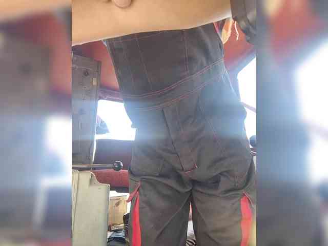 Maybus