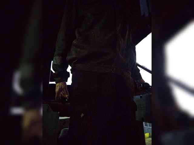 Maybus