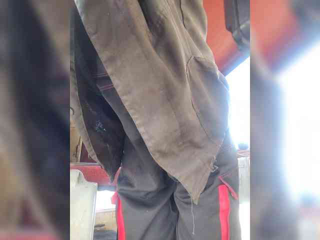 Maybus