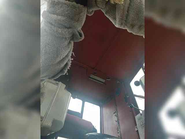 Maybus