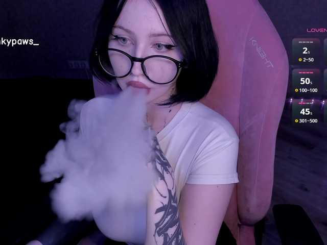 blinkypaws live cam preview