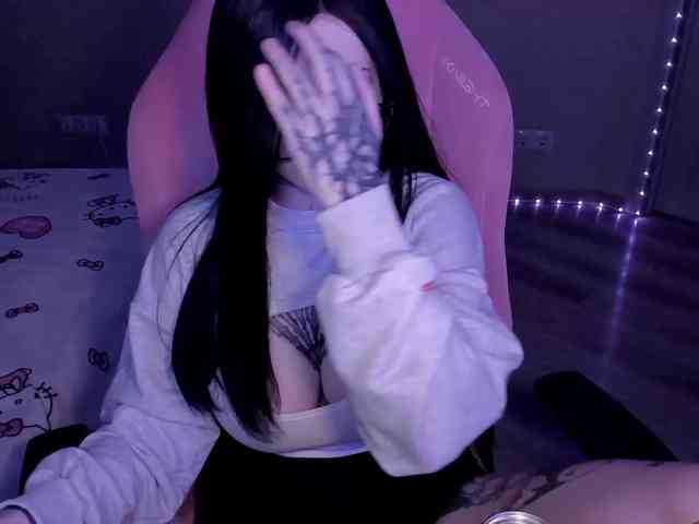 blinkypaws webcam