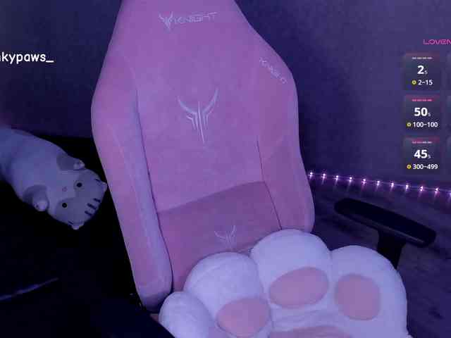 blinkypaws webcam