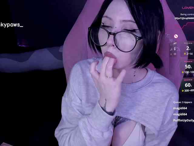 blinkypaws webcam