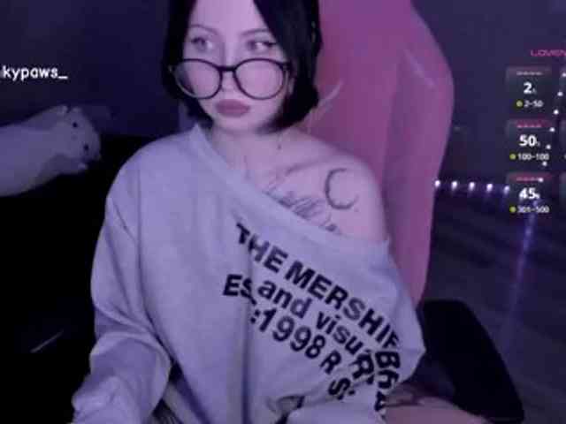 blinkypaws webcam