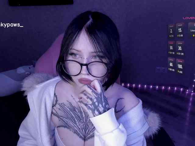blinkypaws webcam