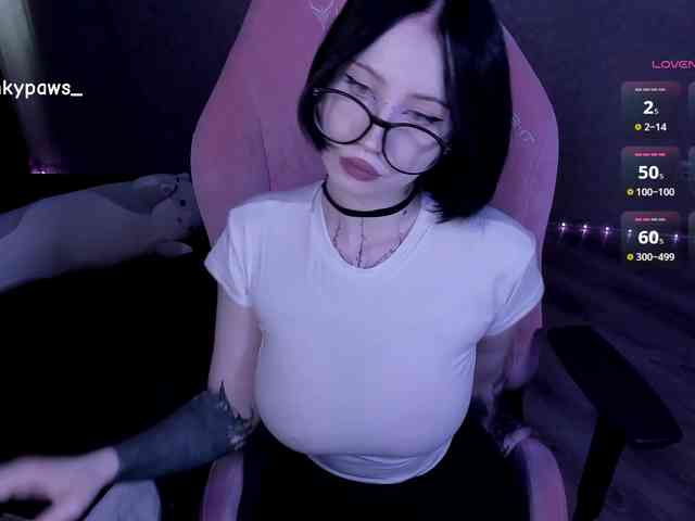 blinkypaws webcam