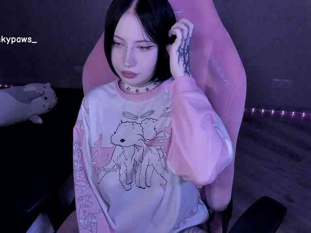 blinkypaws webcam
