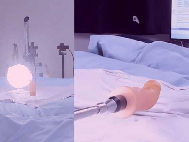 Amellia-rous