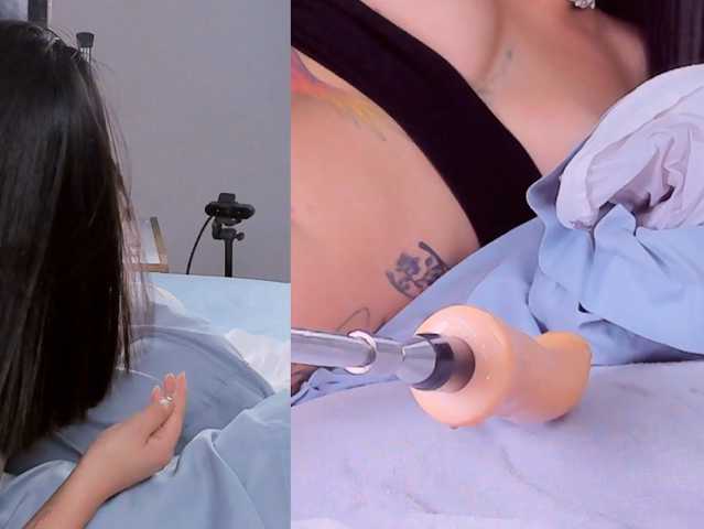 Amellia-rous