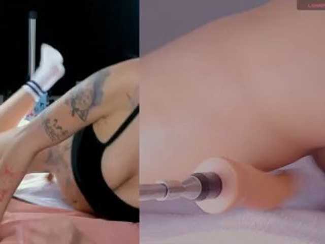 Amellia-rous