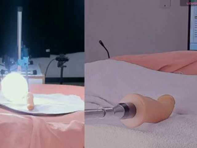 Amellia-rous