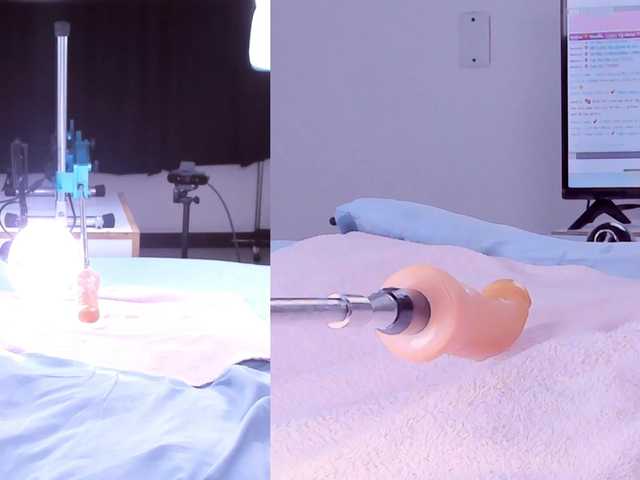 Amellia-rous live cam on BongaCams