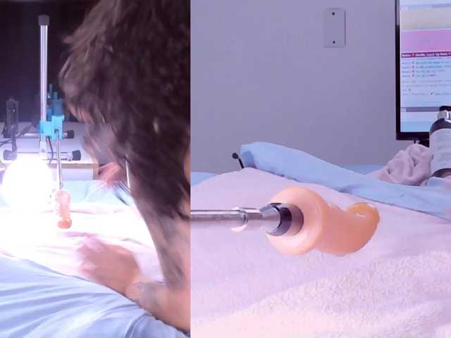 Amellia-rous