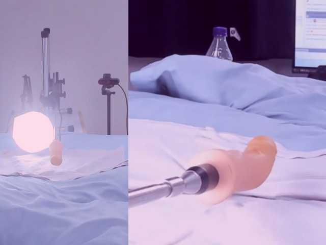 Amellia-rous