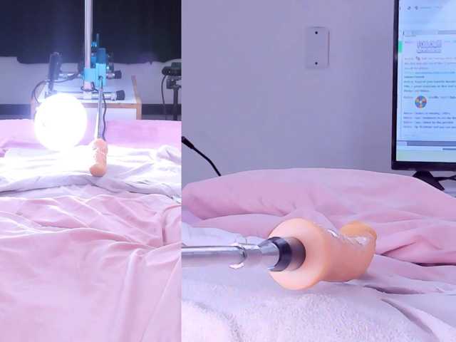 Amellia-rous live cam on BongaCams