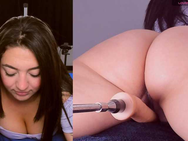 Amellia-rous