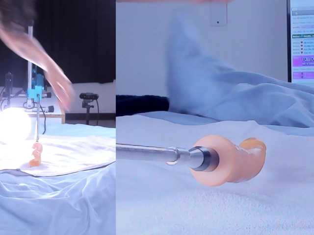 Amellia-rous