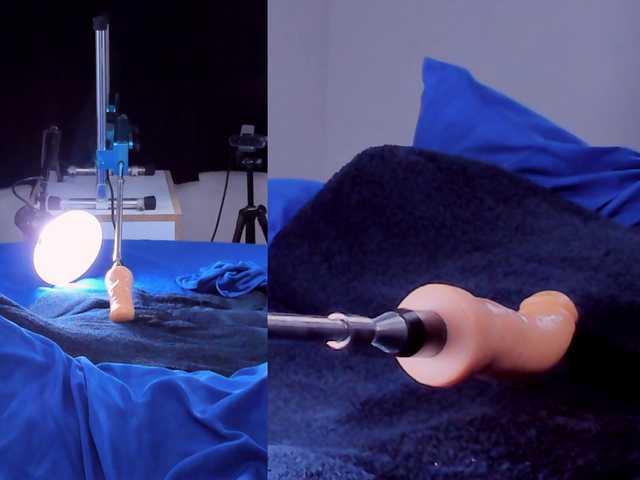 Amellia-rous live cam on BongaCams