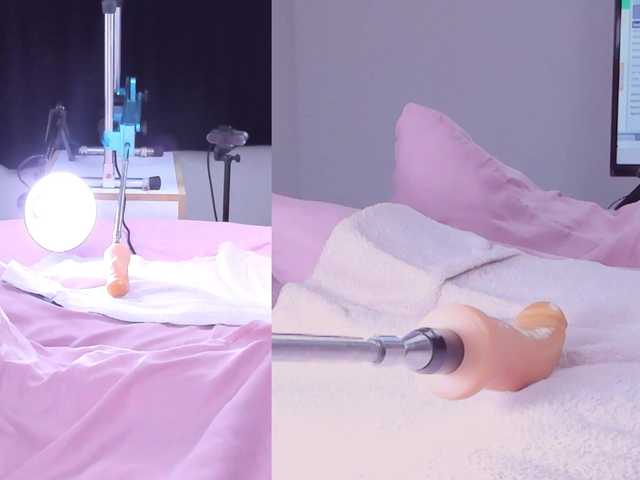 Amellia-rous