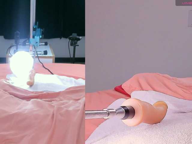 Amellia-rous