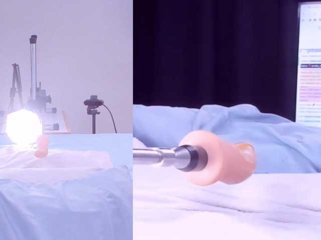 Amellia-rous