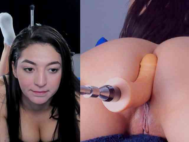 Amellia-rous