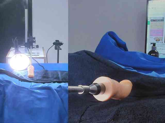 Amellia-rous webcam