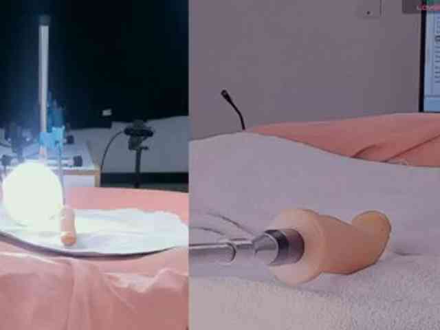 Amellia-rous webcam