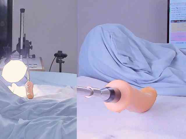 Amellia-rous