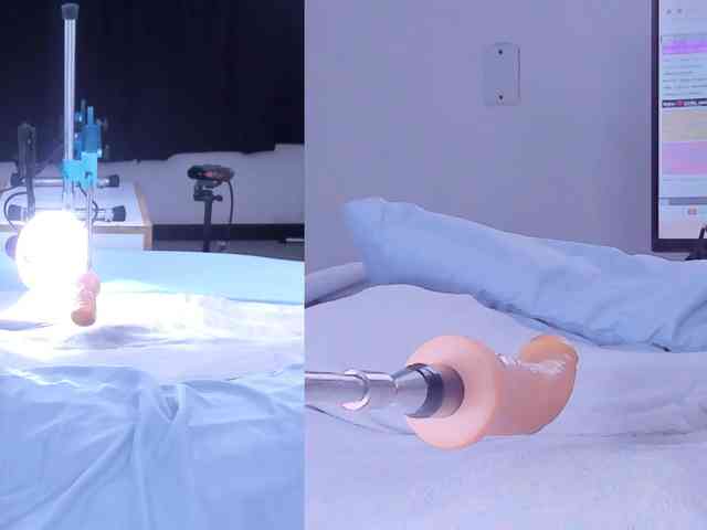 Amellia-rous webcam