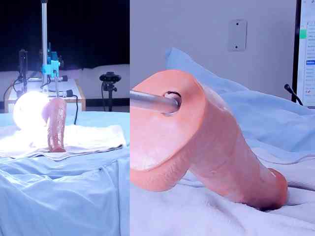Amellia-rous webcam