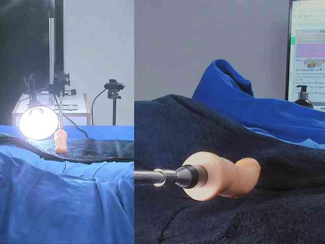 Amellia-rous webcam
