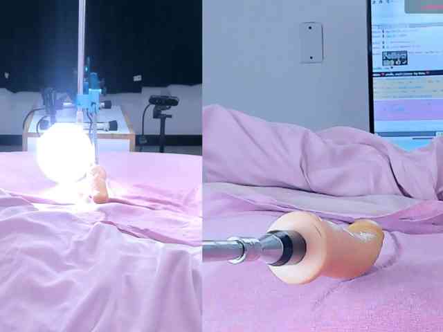 Amellia-rous