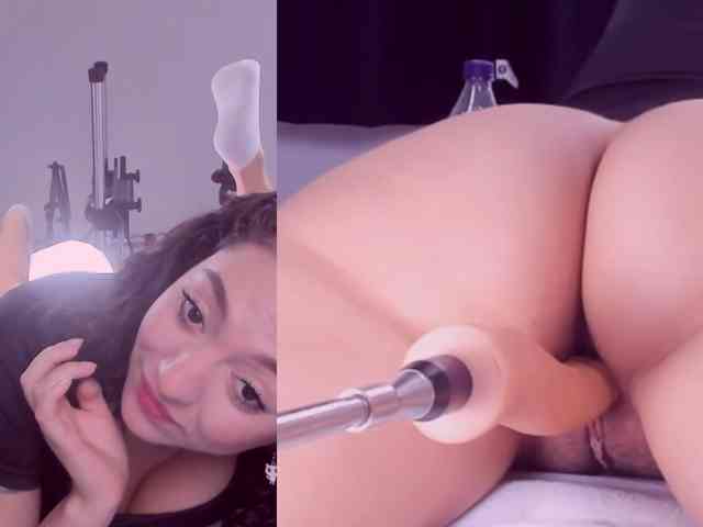 Amellia-rous
