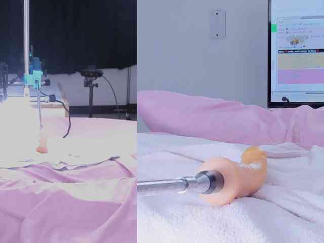 Amellia-rous webcam