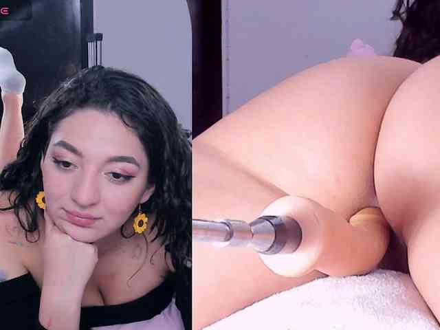 Amellia-rous