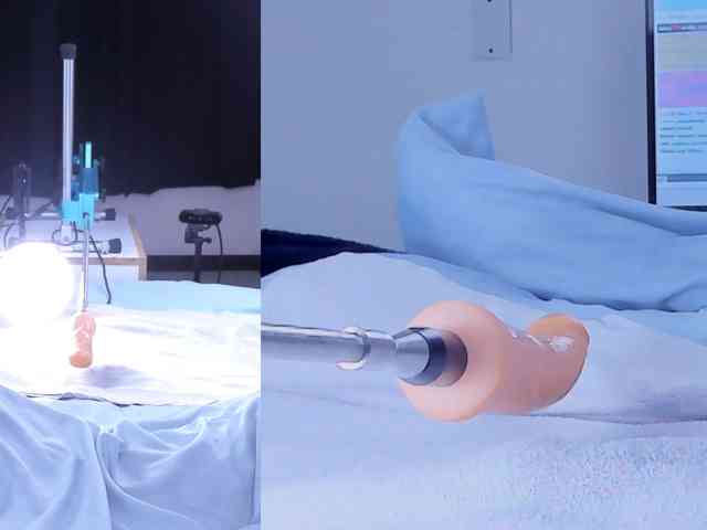Amellia-rous webcam