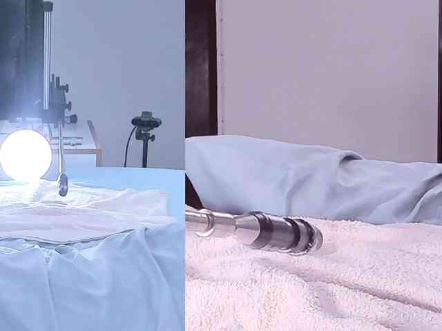 Amellia-rous webcam
