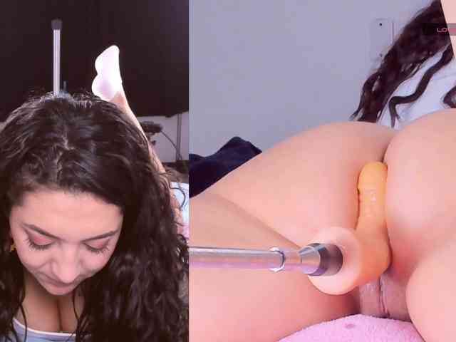 Amellia-rous