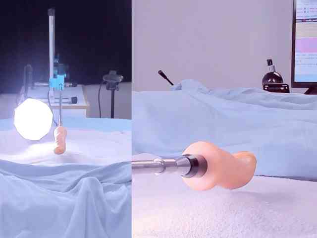 Amellia-rous